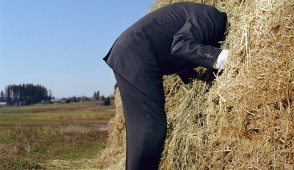 Man sticking his head in haystack, side view